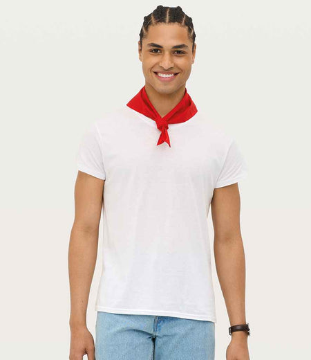 01198 Red Model